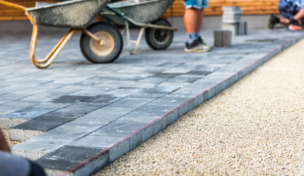 Best Driveway Paver Repair  in Black Forest, CO