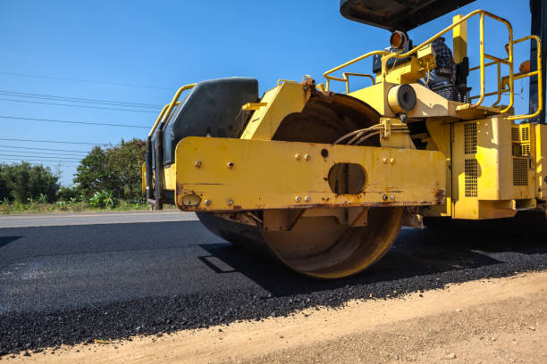 Best Residential Paver Driveway  in Black Forest, CO